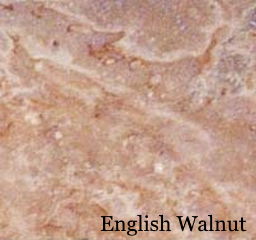 English Walnut