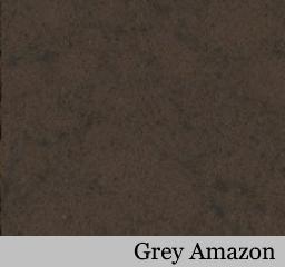 Grey Amazon